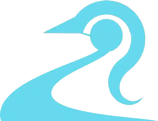 Desarrollador Web Moy